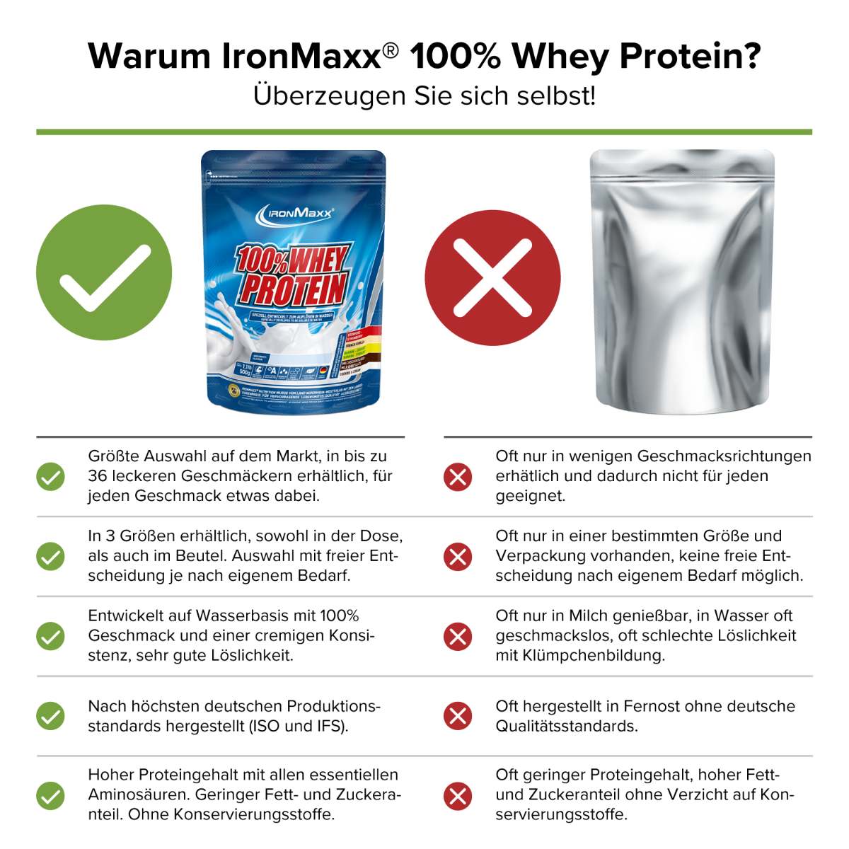 100% Whey Protein (500g) - Ananas