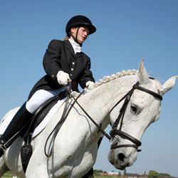 Kategorie Reiten