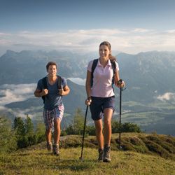 Kategorie Herz-Kreislauf